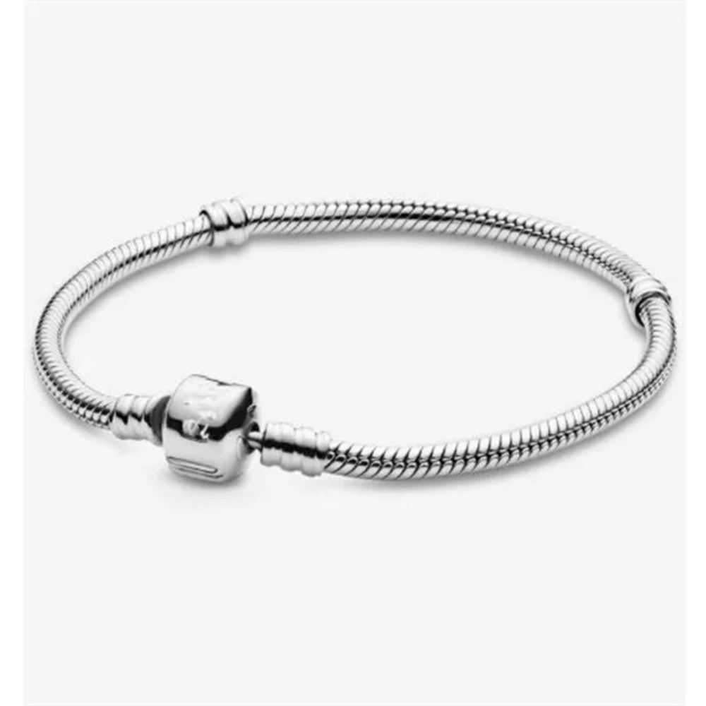 Pandora charm bracelet